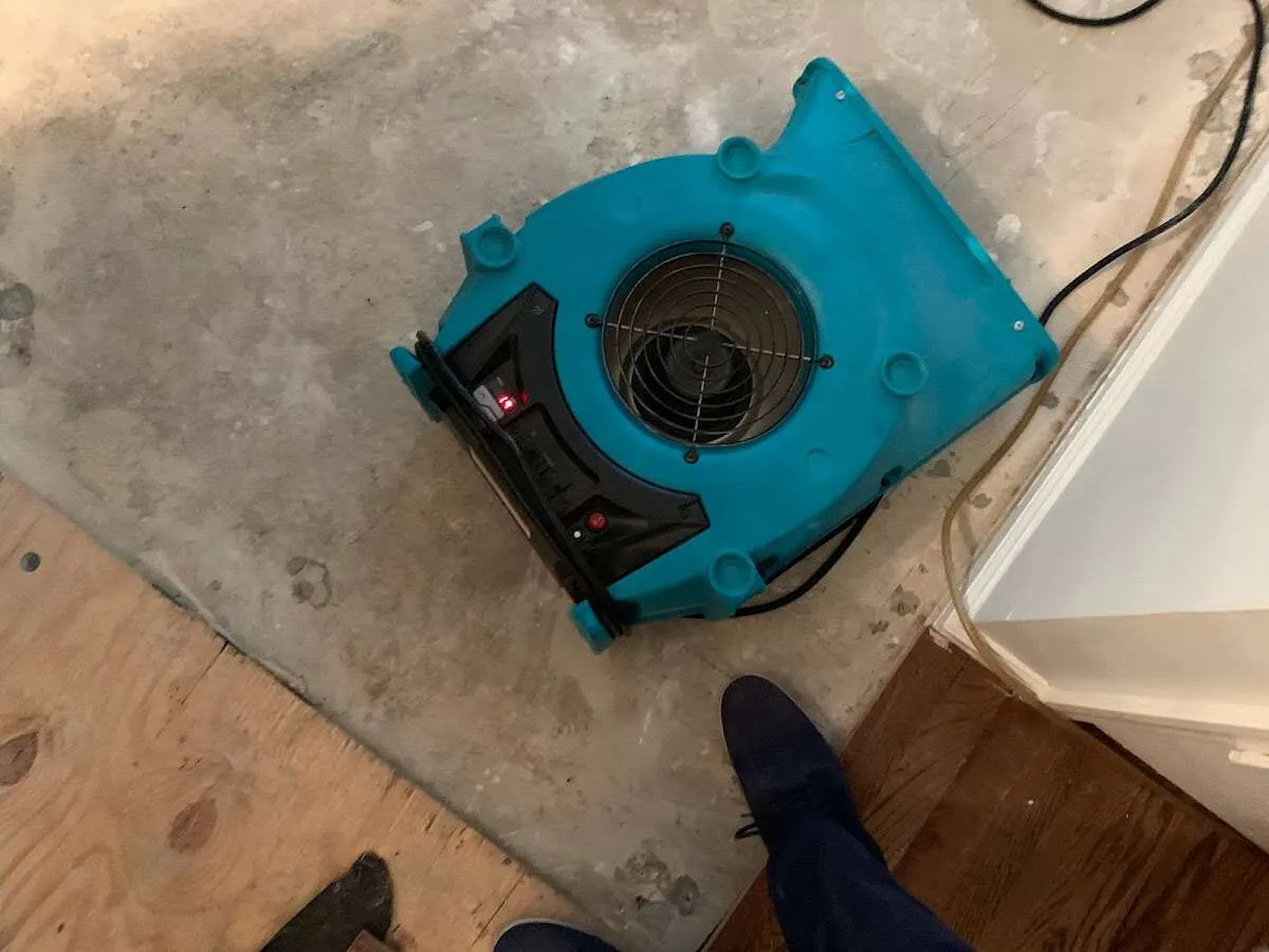 Air mover drying subfloor during Commercial Water Damage Restoration in Sun City West